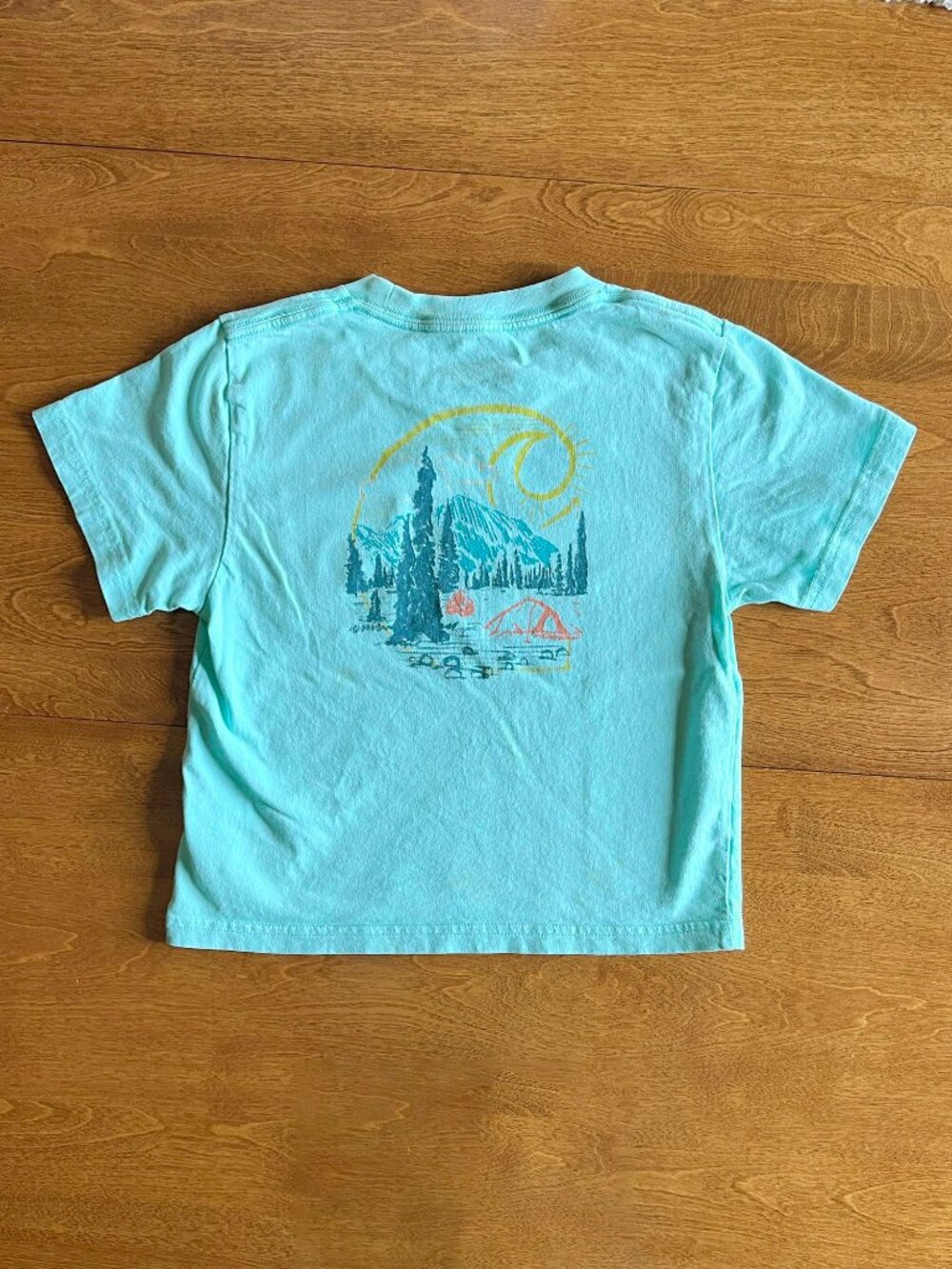 Carhartt aqua wilderness camping pocket tee 6X